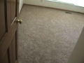 1004 SUMMERFEILD PART 3