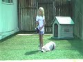 California Dog Training