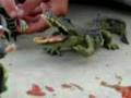 Terror of the Crocadile