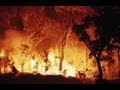 New Major US FIRE!! 100 sq mls COLORADO MT ...