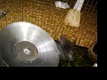 Fry On The Exercise Wheel Fry On The Exercise Wheel