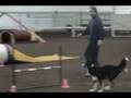 videos de Bryn - Steeplechase