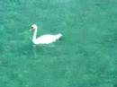 Lake of Annecy ,Boating