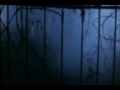 Hallowen 2009
