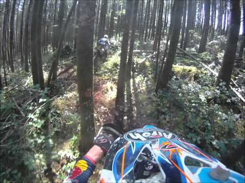 See video