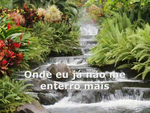 A PAZ - Gilberto Gil e Joao Donato - Mpb - Musica Nova
