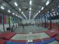 david roy 2007 gymreel