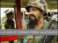 Terroristas en Miami 2. Terrorism in the United States of America 2