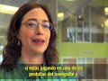 La historia detr�s de Google Chrome