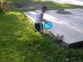 Disc Golf
