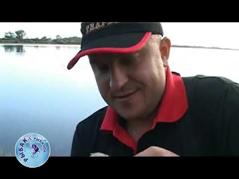калининградская область ловля леща на немане калининградская область ловля леща на немане