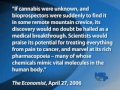 Death by Marijuana Overdose - A Marijuana Media Minute Special Report