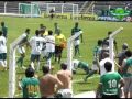Guarani 2 x 2 Goias - Copa São Paulo 2012 - Planeta Guarani