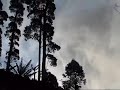 The video was taken in KodaiKanal(hill station in Tamil Nadu India.) on the way back from Dolphin Nose. One moment it was a perfectly clear mountainside and the other moment we were covered with clouds. It was a heavenly feeling, walking amidst clouds. Captured this video in a rush, but still I like it, have a look. - Misty KodaiKanal
