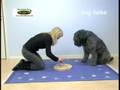 videos de Dog Turbo Denksport-Spielzeug