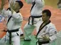 Korea Hapkido central demo team