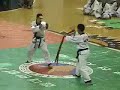 Korea Hapkido central demo team