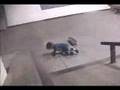 3 year old skateboarder (older footage)