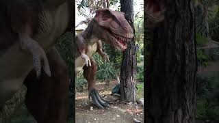 Dinopark Antalya#dinosaur #park #animals #türkiye #travel
