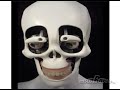 Robotic Human Head Meka