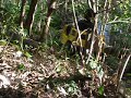Mini Hummer Go-Kart Climbing up Trail