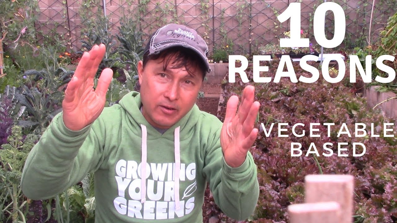 Raw Food vs Cooked Does Cooking Actually Destroy Nutrients? Easy