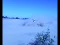 Yfz 450 Donuts