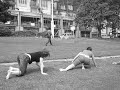 The Spider Gorillas vs. The Japanese Tourist