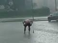 vos hrga,tusiranje na kisi 2, italia