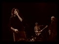 Beasts of Bourbon - \" Little Animals\" Beasts of Bourbon - \" Little Animals\"