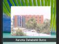 Daawo Burco