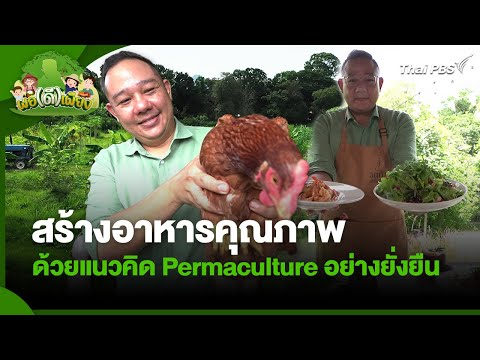 สร้างอาหารคุณภาพด้วยแนวคิด Permaculture อย่างยั่งยืน | พอดีพอเพียง | วันใหม่วาไรตี้