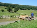 wilma the flying rottweiler