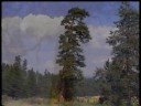 Watch 'Trail of Tragedy: The Excavation of the Donner Party Site'