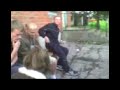 päris kaine hommik neil :D
