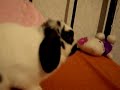 IMGP2239,,