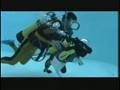 HowStuffWorks.com: Scuba cat