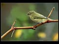 Sinan Topcu-ilahi ve kaside / Sinan TOP�U 
