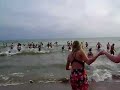 polar-bear-plunge-2008.html