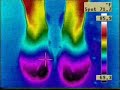 Nikken insoles timelapse video