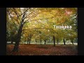 Totakeke (K.K. Slider) -