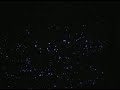 ブラックライトで綿100％ウエスからの発塵を見ました。
