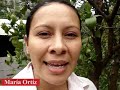 Extraña aparición de la Virgen en Honduras