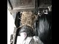 Garbage Crushing Spare Truck Action Garbage Crushing Spare Truck Action