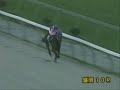 2008年 第21回 マイルチャンピオンシップ南部杯JpnＩ ブルーコンコルド