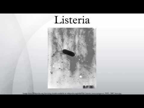 how to isolate listeria monocytogenes