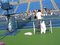 全米オープンテニス　錦織が４回戦進出＝第４シード破り、日本男子７１年ぶりの快挙