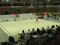 cerchio cerceau