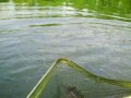 dtc-fishing.com   Best Tackle/Equipment im Test