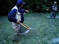 Grote forel in Solvenie